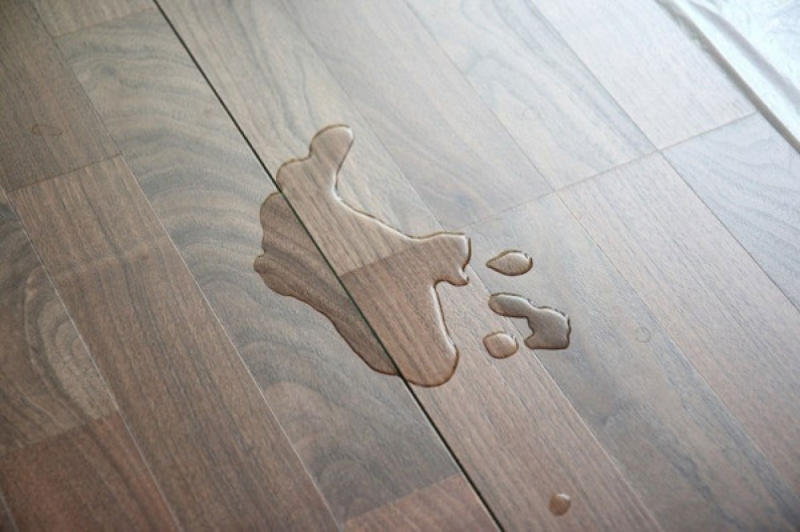 Sàn gỗ chống nước